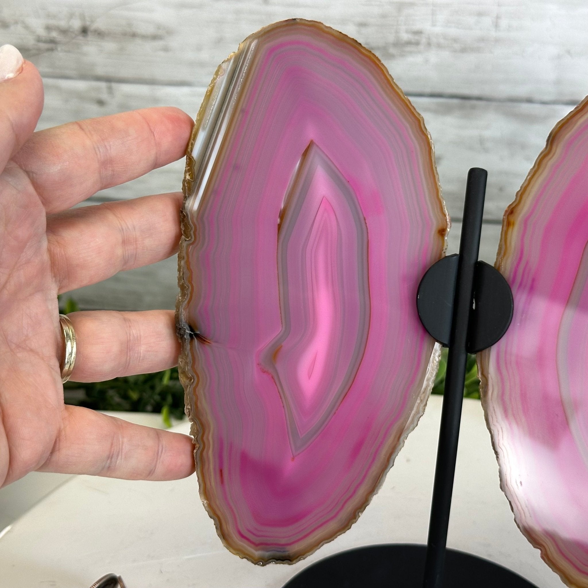 Pink Agate "Butterfly Wings", Dyed Pink, 8.7" Tall #5050PA-044 - Brazil GemsBrazil GemsPink Agate "Butterfly Wings", Dyed Pink, 8.7" Tall #5050PA-044Agate Butterfly Wings5050PA-044