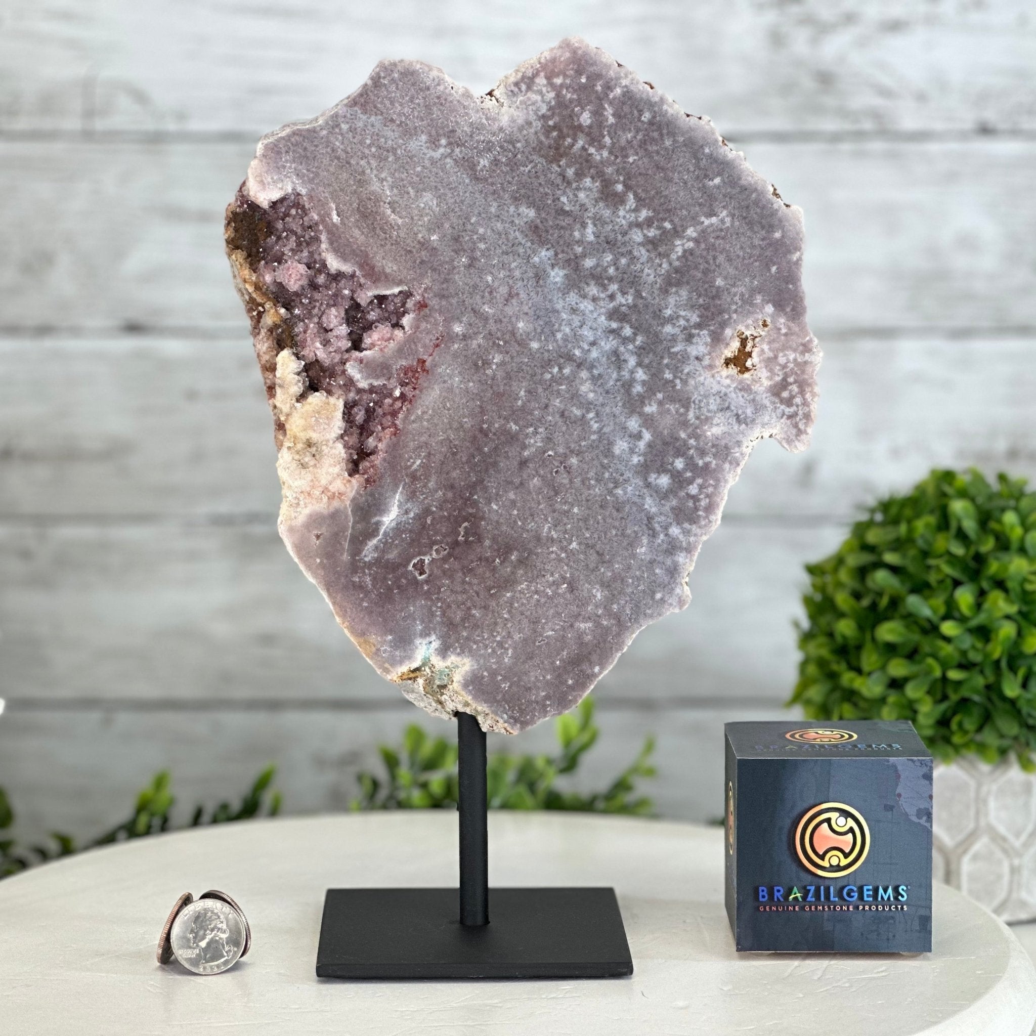 Pink Amethyst Slice on a Stand, 4 lbs and 11.9" Tall #5742-0137 - Brazil GemsBrazil GemsPink Amethyst Slice on a Stand, 4 lbs and 11.9" Tall #5742-0137Slices on Fixed Bases5742-0137
