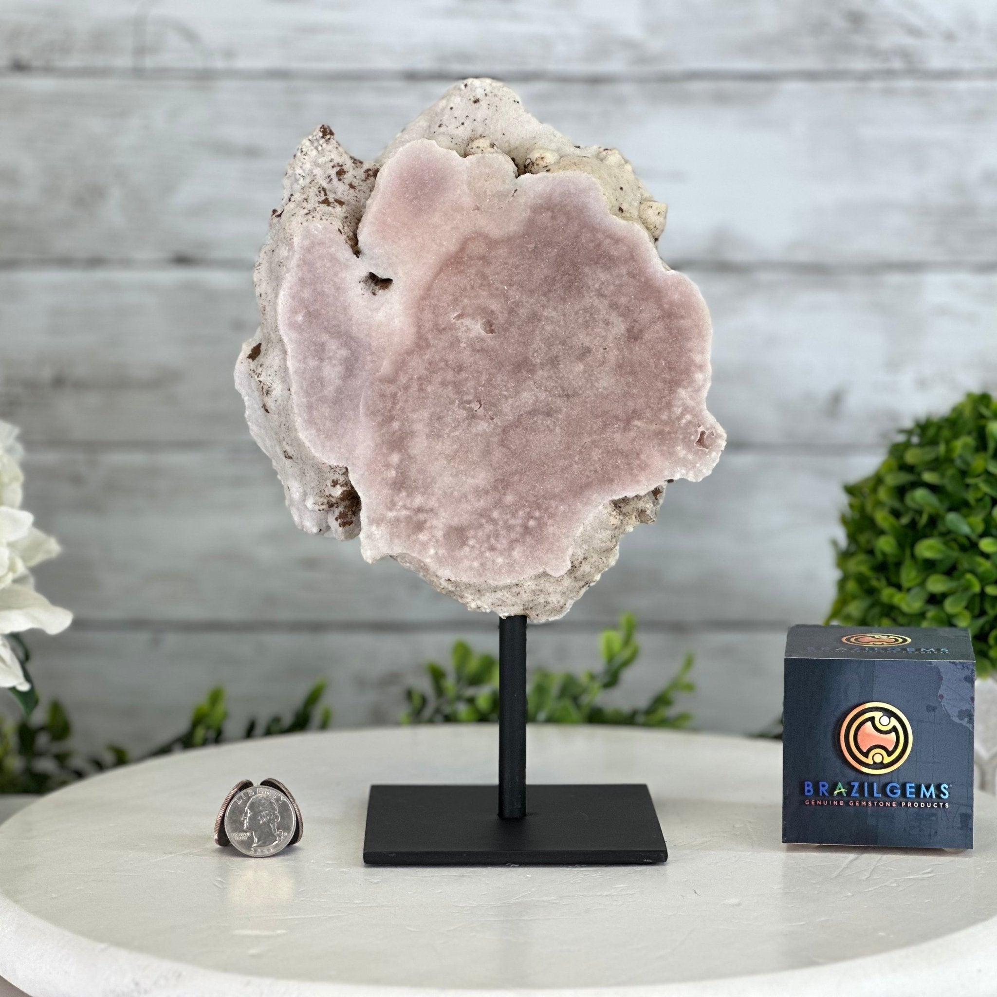 Pink Amethyst Slice on a Stand, 5.7 lbs and 10.2" Tall #5742-0139 - Brazil GemsBrazil GemsPink Amethyst Slice on a Stand, 5.7 lbs and 10.2" Tall #5742-0139Slices on Fixed Bases5742-0139