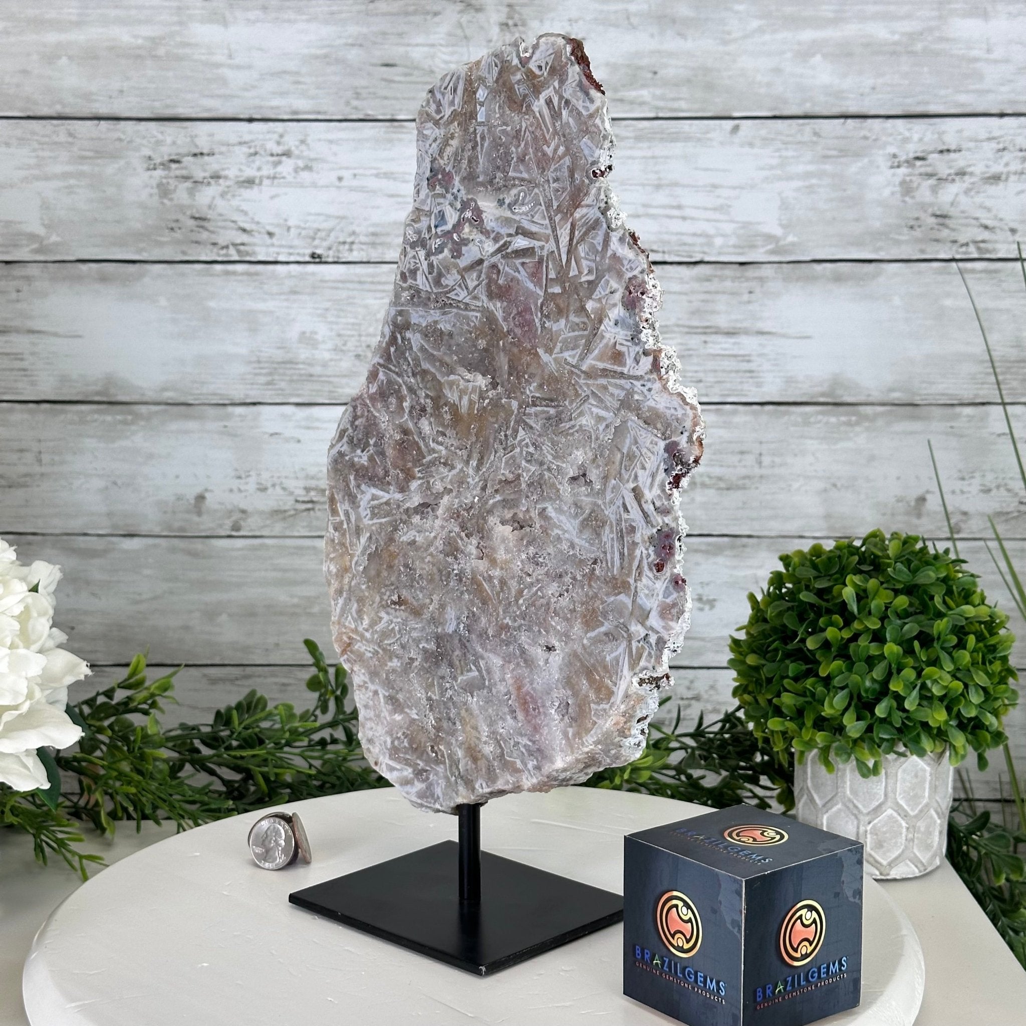 Pink Amethyst Slice on a Stand, 6.8 lbs and 14.6" Tall #5742-0124 - Brazil GemsBrazil GemsPink Amethyst Slice on a Stand, 6.8 lbs and 14.6" Tall #5742-0124Slices on Fixed Bases5742-0124
