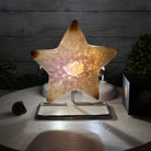 Polished Agate Star on a Metal Stand, 3.3 lbs & 6.9" Tall #5273-0018 - Brazil GemsBrazil GemsPolished Agate Star on a Metal Stand, 3.3 lbs & 6.9" Tall #5273-0018Stars5273-0018