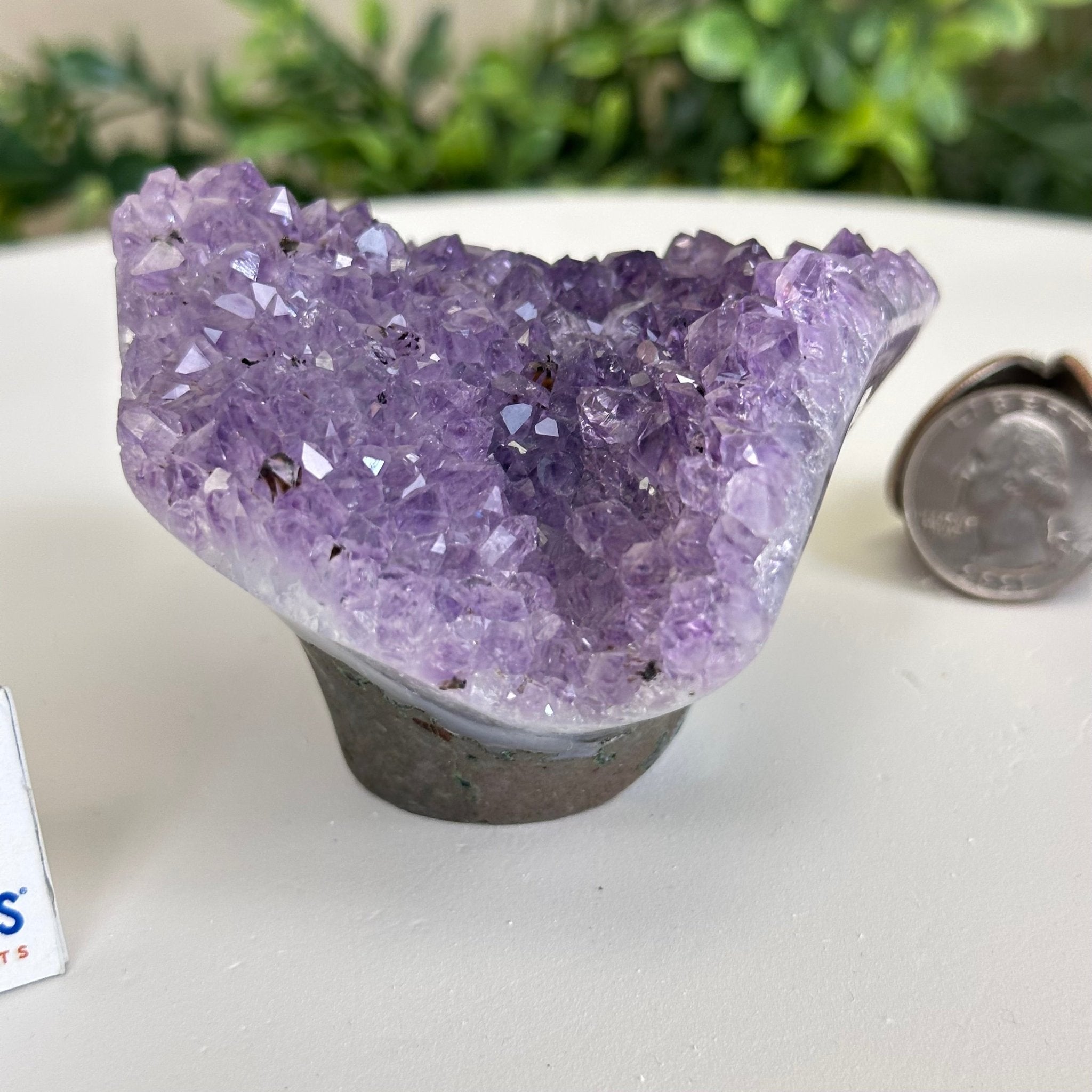 Polished Amethyst Flower 0.74 lbs & 2.3" Tall 5609 - 0030 - Brazil GemsBrazil GemsPolished Amethyst Flower 0.74 lbs & 2.3" Tall 5609 - 0030Crystal Flowers5609 - 0030