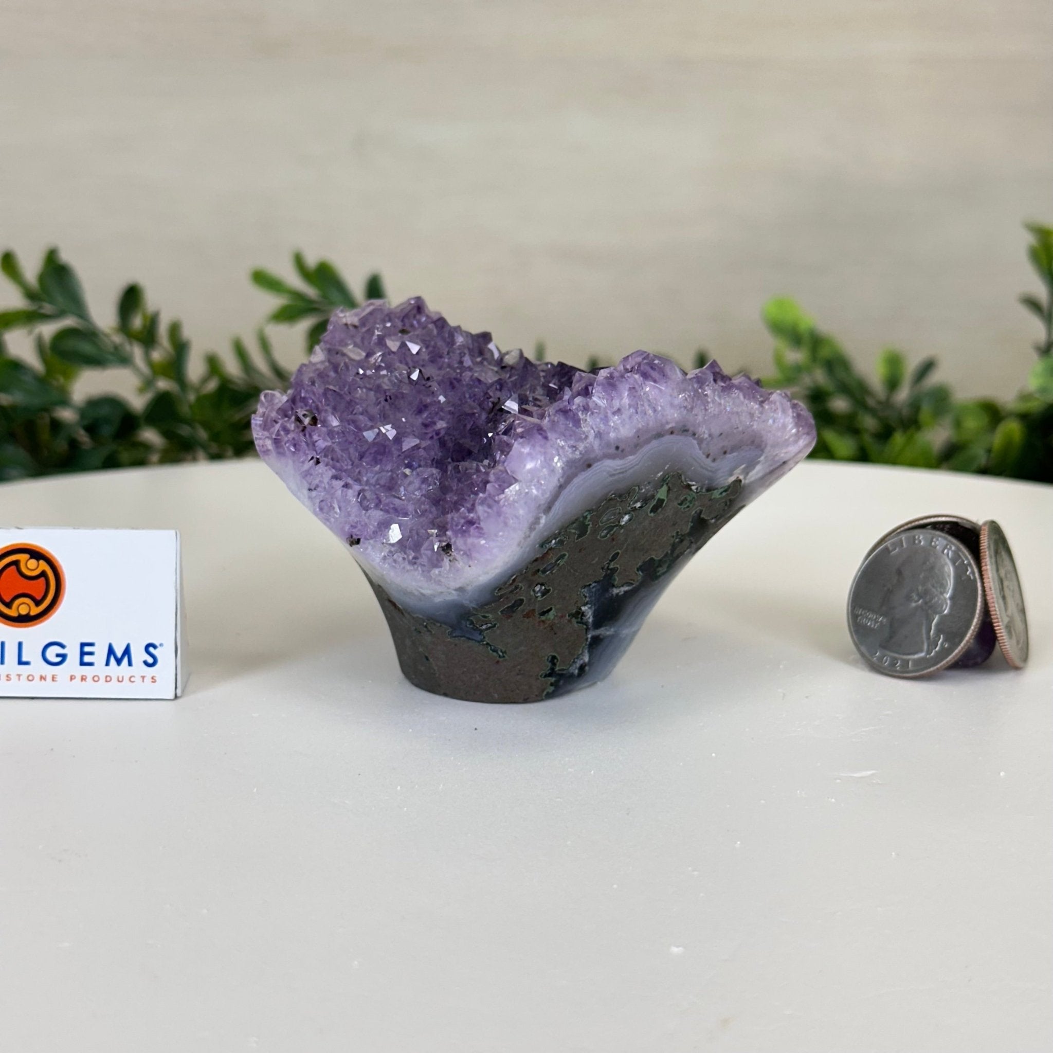 Polished Amethyst Flower 0.74 lbs & 2.3" Tall 5609 - 0030 - Brazil GemsBrazil GemsPolished Amethyst Flower 0.74 lbs & 2.3" Tall 5609 - 0030Crystal Flowers5609 - 0030
