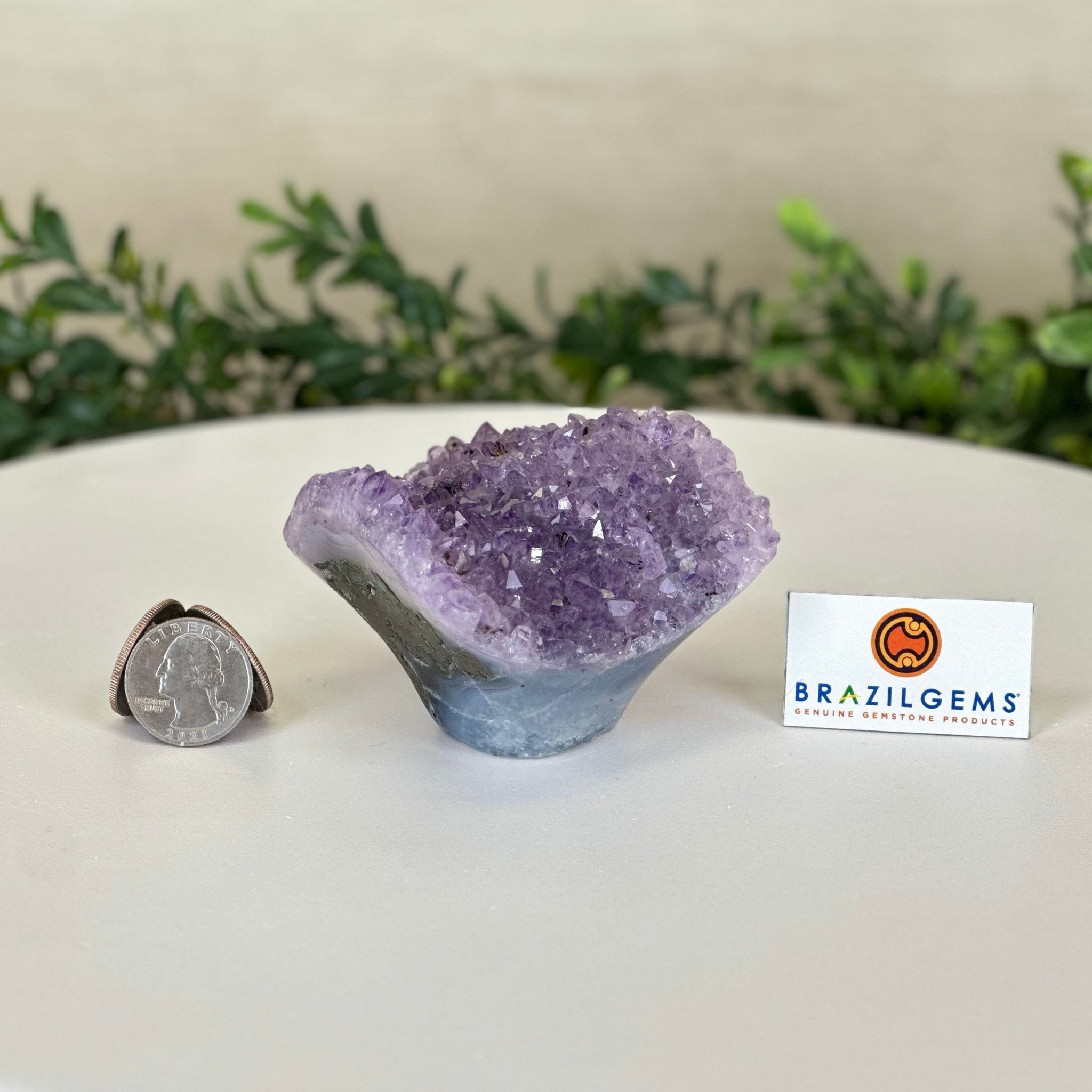 Polished Amethyst Flower 0.74 lbs & 2.3" Tall 5609 - 0030 - Brazil GemsBrazil GemsPolished Amethyst Flower 0.74 lbs & 2.3" Tall 5609 - 0030Crystal Flowers5609 - 0030