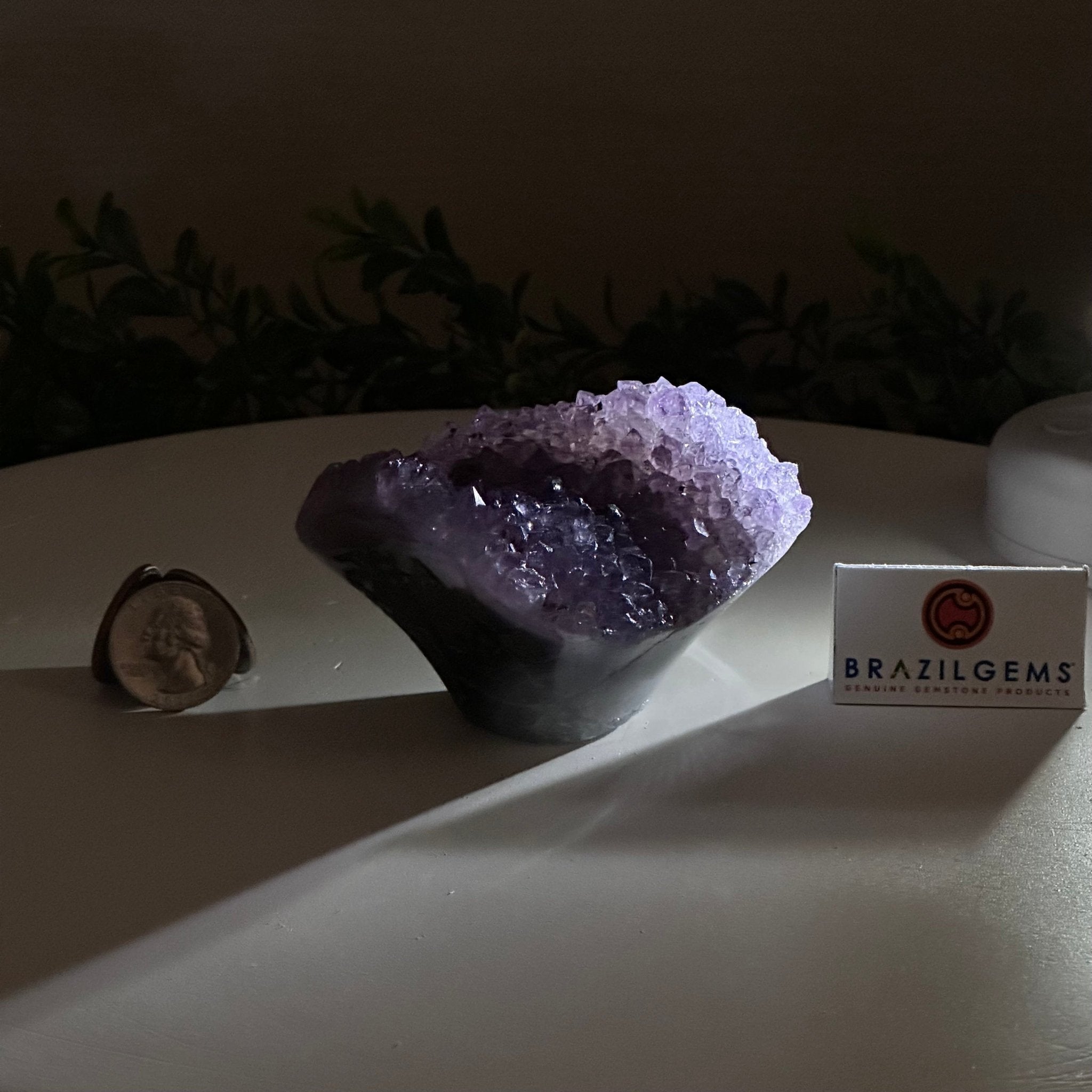 Polished Amethyst Flower 0.74 lbs & 2.3" Tall 5609 - 0030 - Brazil GemsBrazil GemsPolished Amethyst Flower 0.74 lbs & 2.3" Tall 5609 - 0030Crystal Flowers5609 - 0030