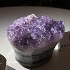 Polished Amethyst Flower 0.76 lbs & 2.1" Tall 5609 - 0031 - Brazil GemsBrazil GemsPolished Amethyst Flower 0.76 lbs & 2.1" Tall 5609 - 0031Crystal Flowers5609 - 0031