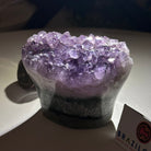 Polished Amethyst Flower 0.76 lbs & 2.1" Tall 5609 - 0031 - Brazil GemsBrazil GemsPolished Amethyst Flower 0.76 lbs & 2.1" Tall 5609 - 0031Crystal Flowers5609 - 0031