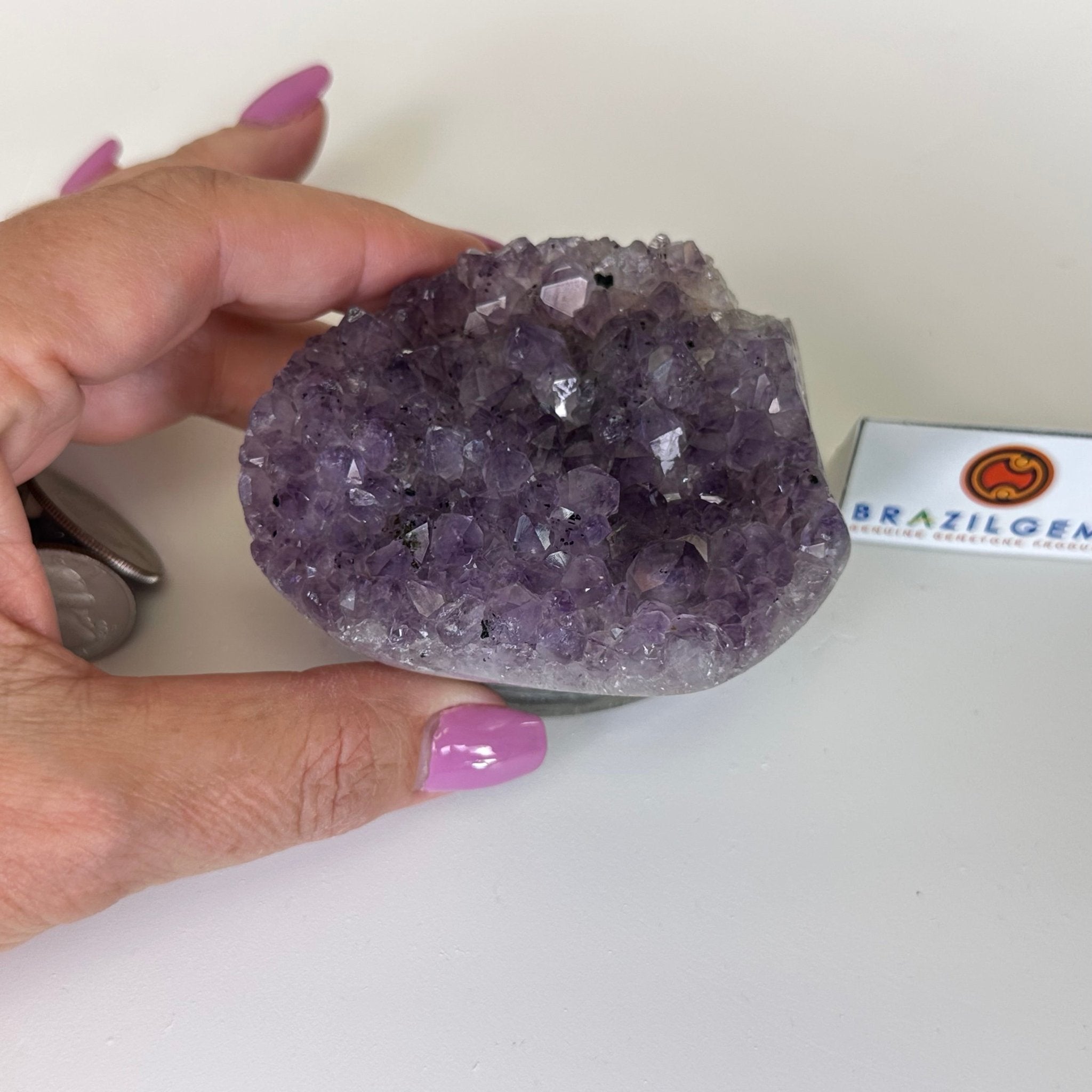 Polished Amethyst Flower 0.76 lbs & 2.1" Tall 5609 - 0031 - Brazil GemsBrazil GemsPolished Amethyst Flower 0.76 lbs & 2.1" Tall 5609 - 0031Crystal Flowers5609 - 0031