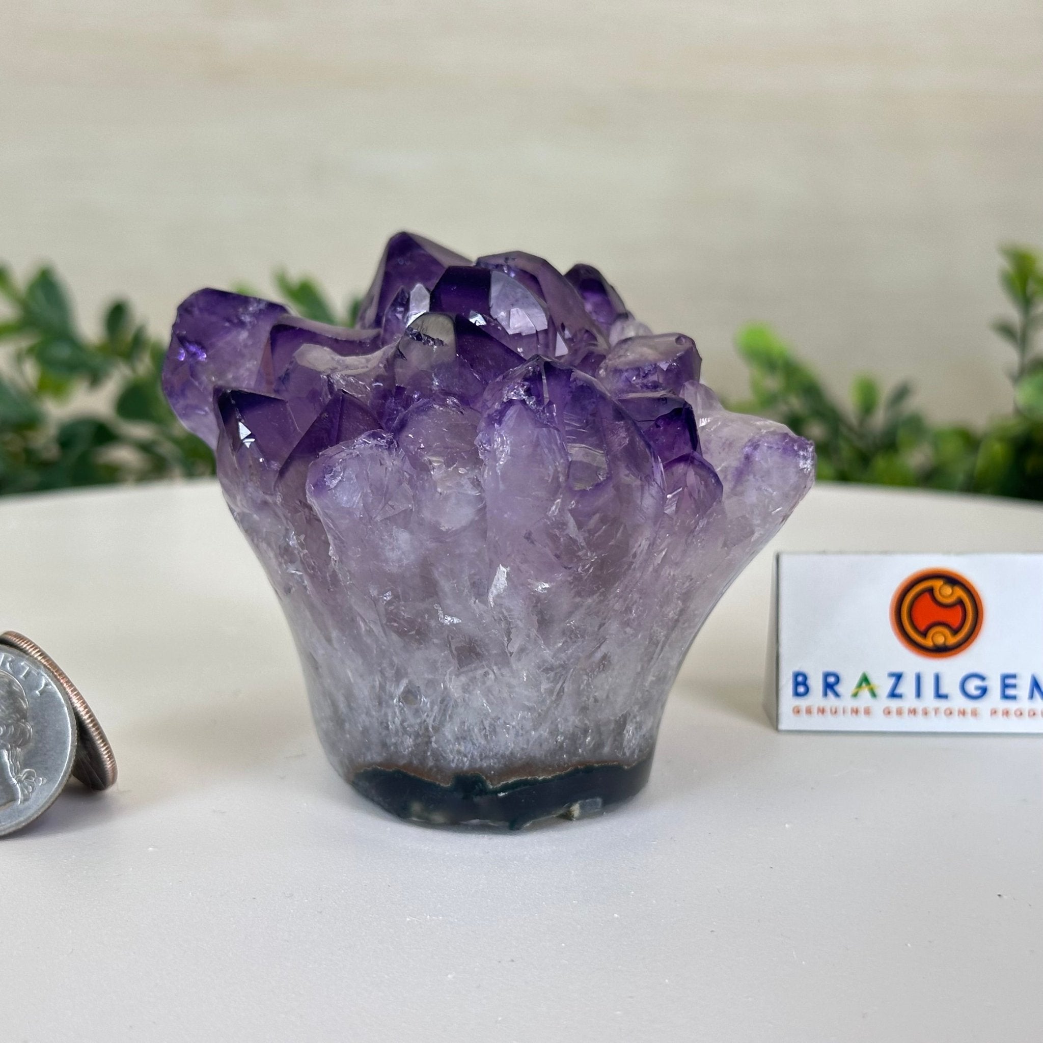 Polished Amethyst Flower 0.94 lbs & 2.8" Tall 5609 - 0032 - Brazil GemsBrazil GemsPolished Amethyst Flower 0.94 lbs & 2.8" Tall 5609 - 0032Crystal Flowers5609 - 0032