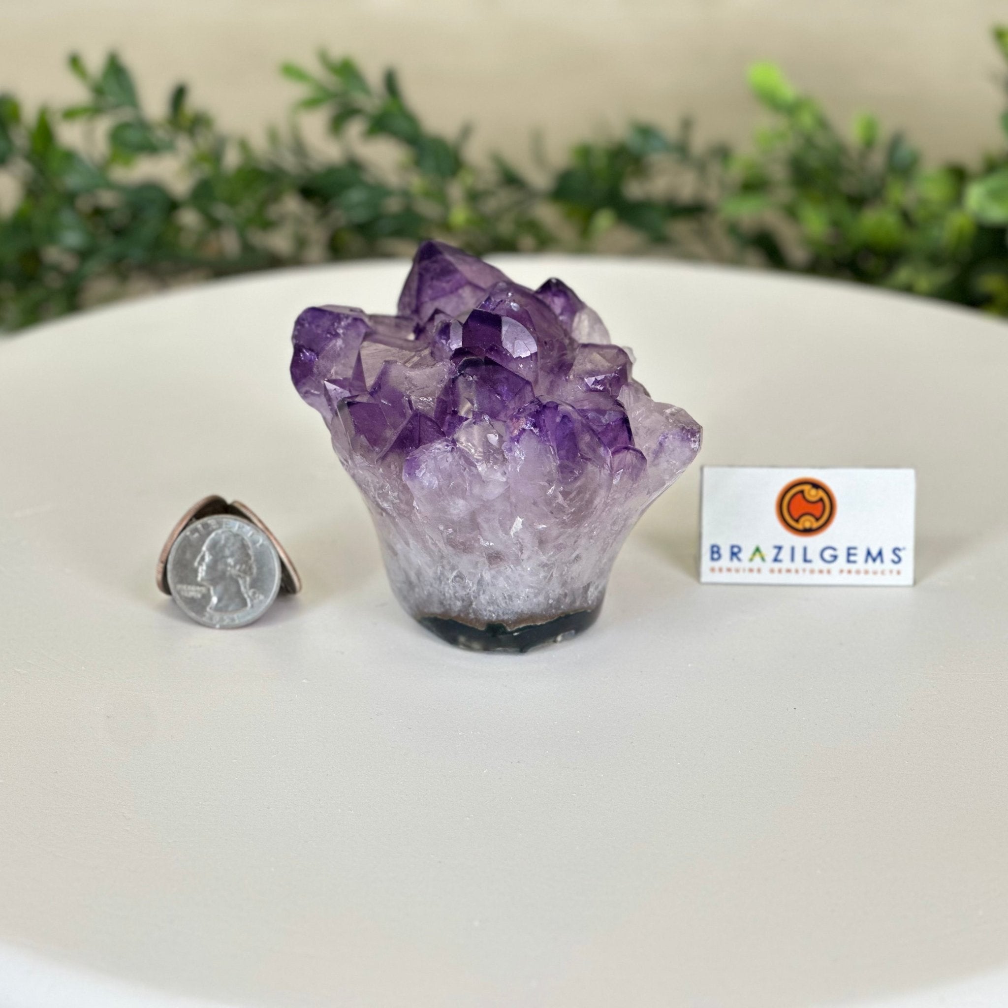 Polished Amethyst Flower 0.94 lbs & 2.8" Tall 5609 - 0032 - Brazil GemsBrazil GemsPolished Amethyst Flower 0.94 lbs & 2.8" Tall 5609 - 0032Crystal Flowers5609 - 0032