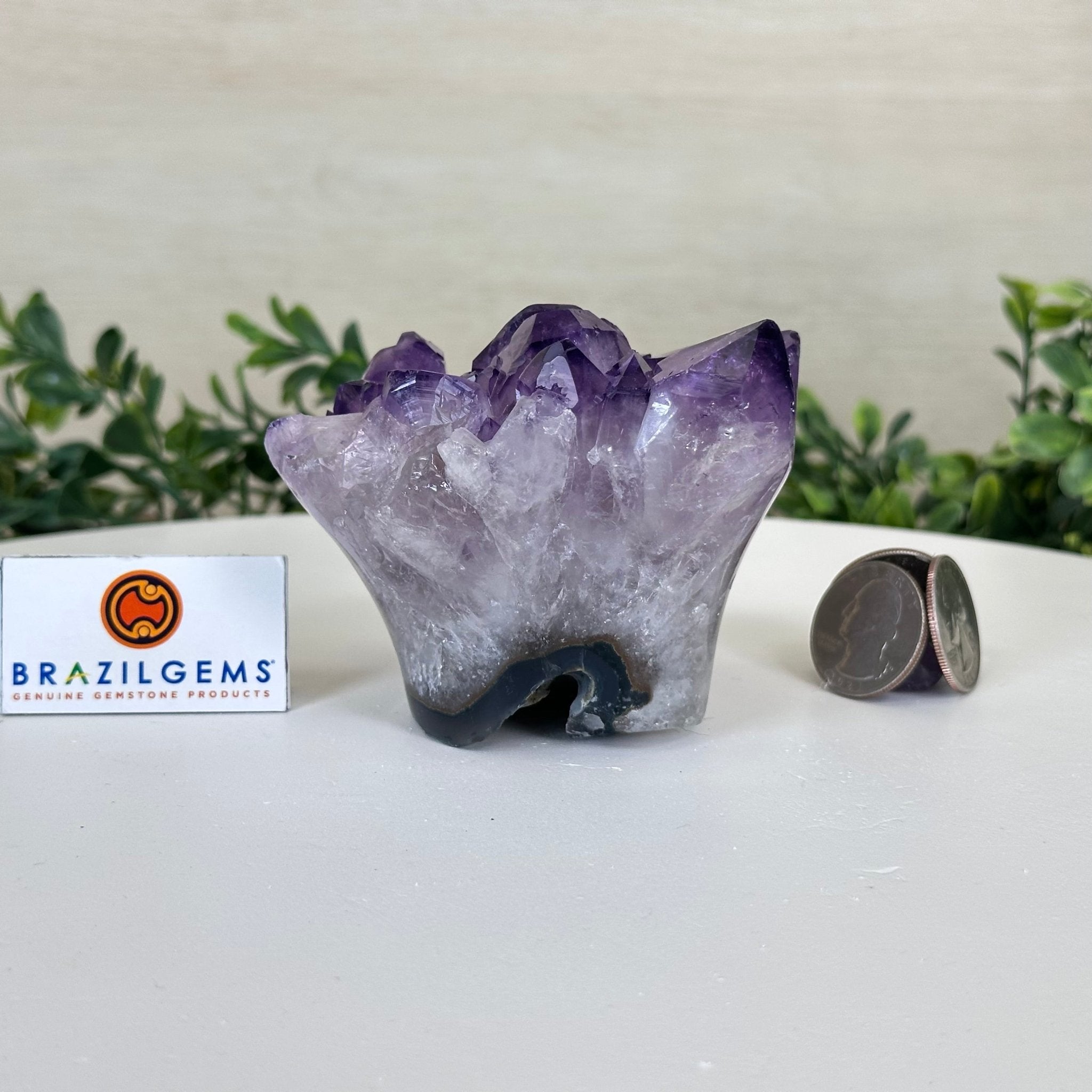Polished Amethyst Flower 0.94 lbs & 2.8" Tall 5609 - 0032 - Brazil GemsBrazil GemsPolished Amethyst Flower 0.94 lbs & 2.8" Tall 5609 - 0032Crystal Flowers5609 - 0032