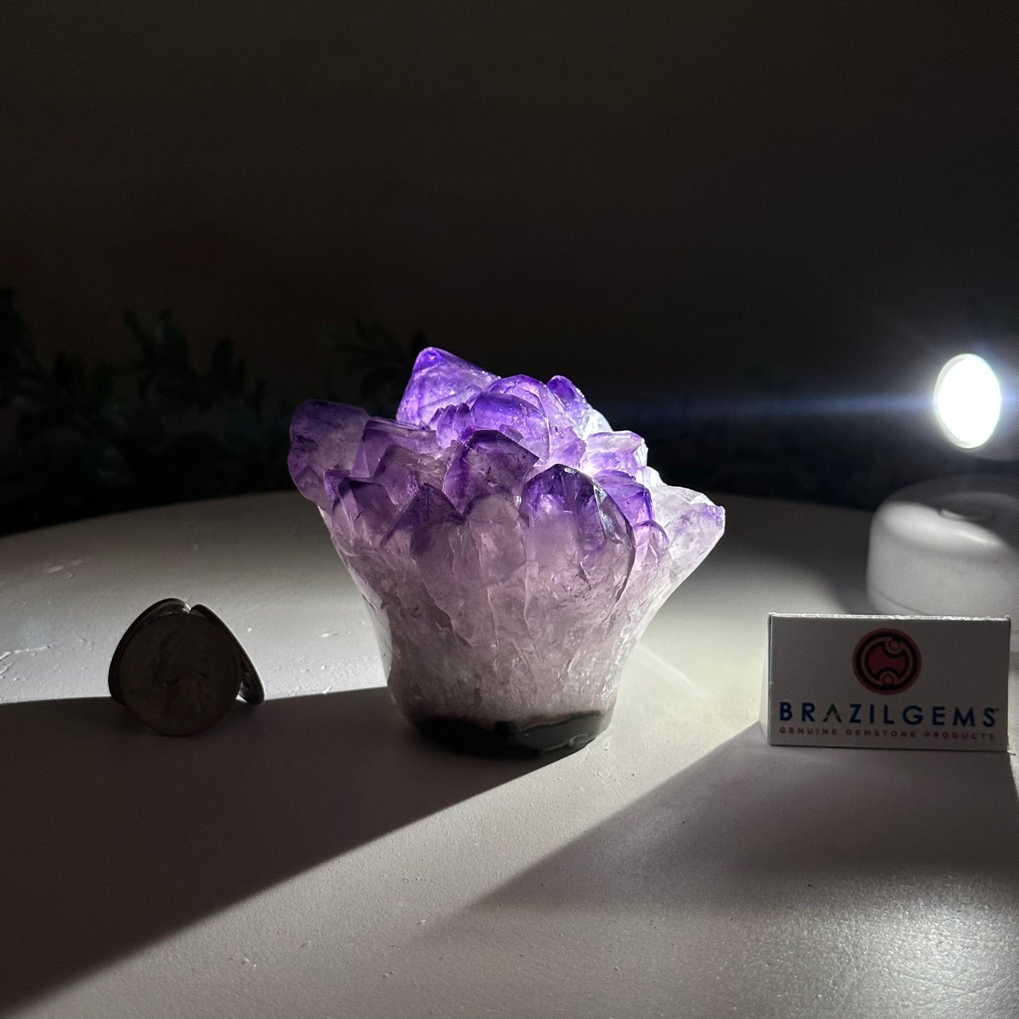 Polished Amethyst Flower 0.94 lbs & 2.8" Tall 5609 - 0032 - Brazil GemsBrazil GemsPolished Amethyst Flower 0.94 lbs & 2.8" Tall 5609 - 0032Crystal Flowers5609 - 0032