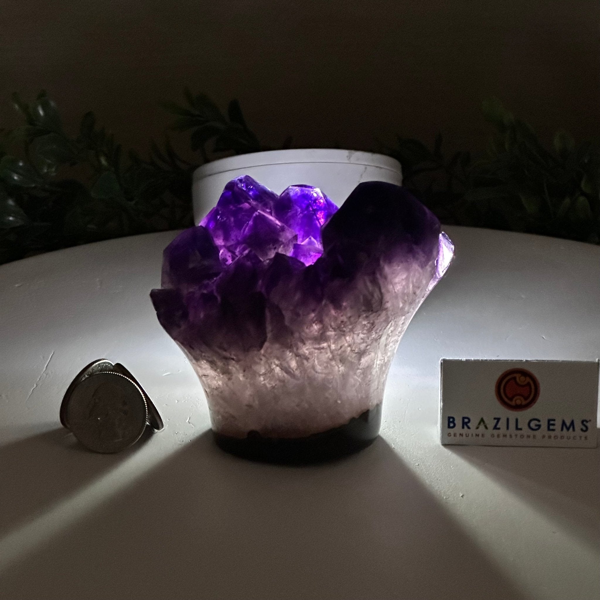 Polished Amethyst Flower 1.15 lbs & 3.2" Tall 5609 - 0033 - Brazil GemsBrazil GemsPolished Amethyst Flower 1.15 lbs & 3.2" Tall 5609 - 0033Crystal Flowers5609 - 0033