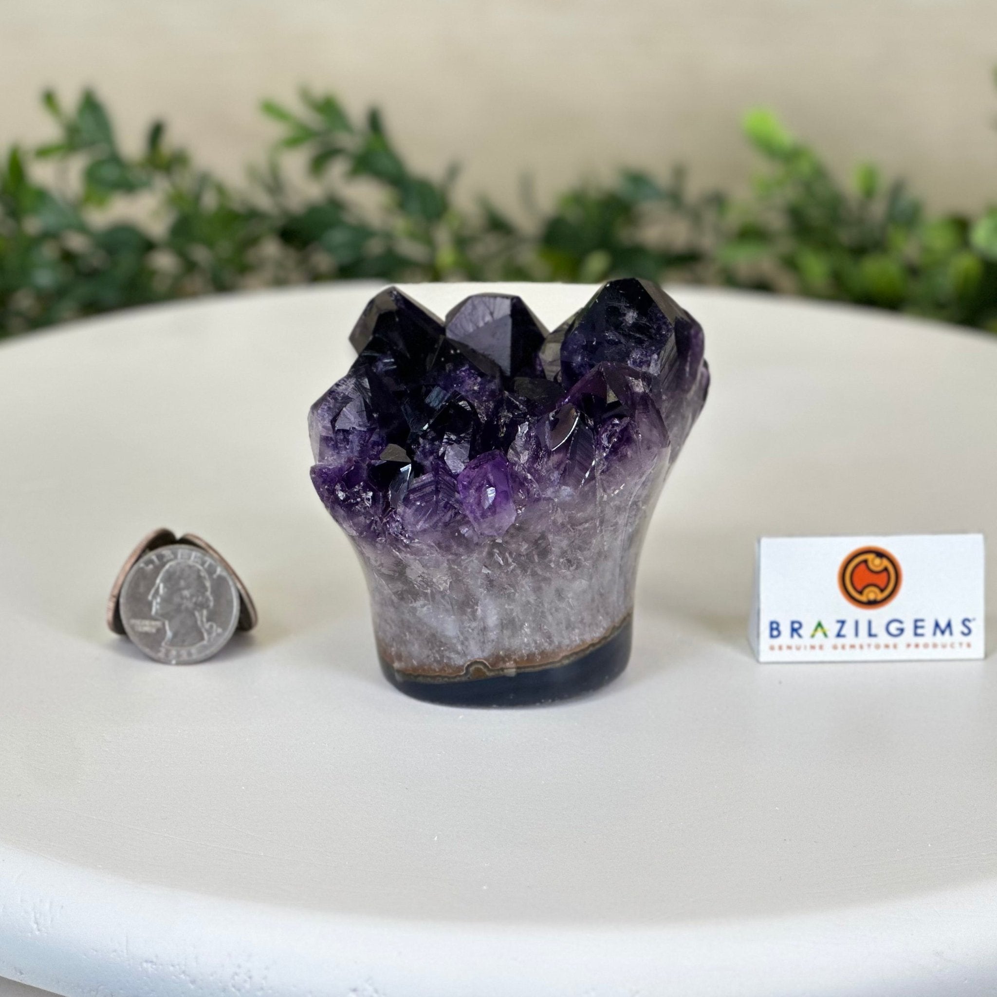 Polished Amethyst Flower 1.15 lbs & 3.2" Tall 5609 - 0033 - Brazil GemsBrazil GemsPolished Amethyst Flower 1.15 lbs & 3.2" Tall 5609 - 0033Crystal Flowers5609 - 0033