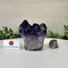 Polished Amethyst Flower 1.15 lbs & 3.2" Tall 5609 - 0033 - Brazil GemsBrazil GemsPolished Amethyst Flower 1.15 lbs & 3.2" Tall 5609 - 0033Crystal Flowers5609 - 0033