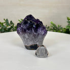 Polished Amethyst Flower 1.15 lbs & 3.2" Tall 5609 - 0033 - Brazil GemsBrazil GemsPolished Amethyst Flower 1.15 lbs & 3.2" Tall 5609 - 0033Crystal Flowers5609 - 0033