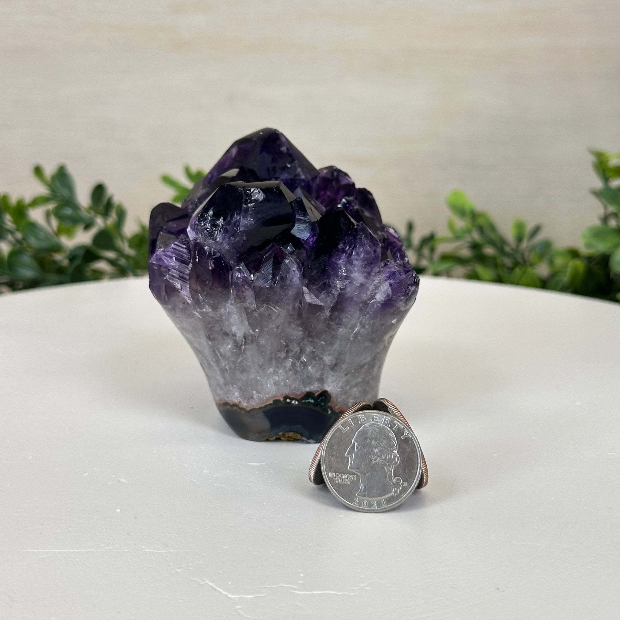 Polished Amethyst Flower 1.15 lbs & 3.2" Tall 5609 - 0033 - Brazil GemsBrazil GemsPolished Amethyst Flower 1.15 lbs & 3.2" Tall 5609 - 0033Crystal Flowers5609 - 0033
