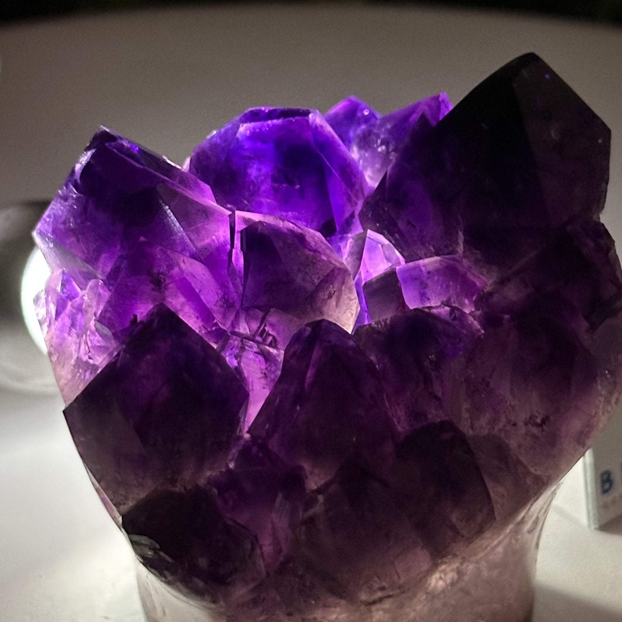 Polished Amethyst Flower 1.15 lbs & 3.2" Tall 5609 - 0033 - Brazil GemsBrazil GemsPolished Amethyst Flower 1.15 lbs & 3.2" Tall 5609 - 0033Crystal Flowers5609 - 0033
