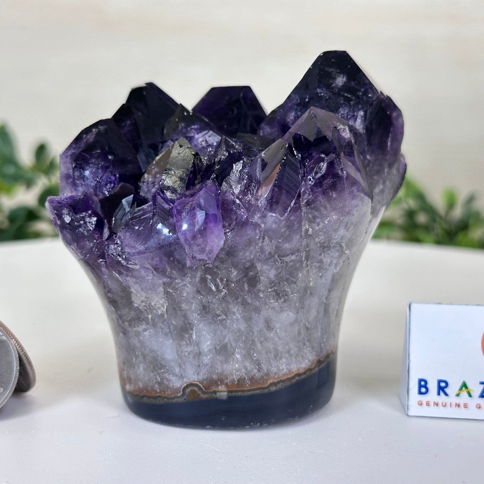 Polished Amethyst Flower 1.15 lbs & 3.2" Tall 5609 - 0033 - Brazil GemsBrazil GemsPolished Amethyst Flower 1.15 lbs & 3.2" Tall 5609 - 0033Crystal Flowers5609 - 0033