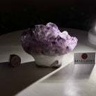Polished Amethyst Flower 1.83 lbs & 3.6" Tall 5609 - 0035 - Brazil GemsBrazil GemsPolished Amethyst Flower 1.83 lbs & 3.6" Tall 5609 - 0035Crystal Flowers5609 - 0035