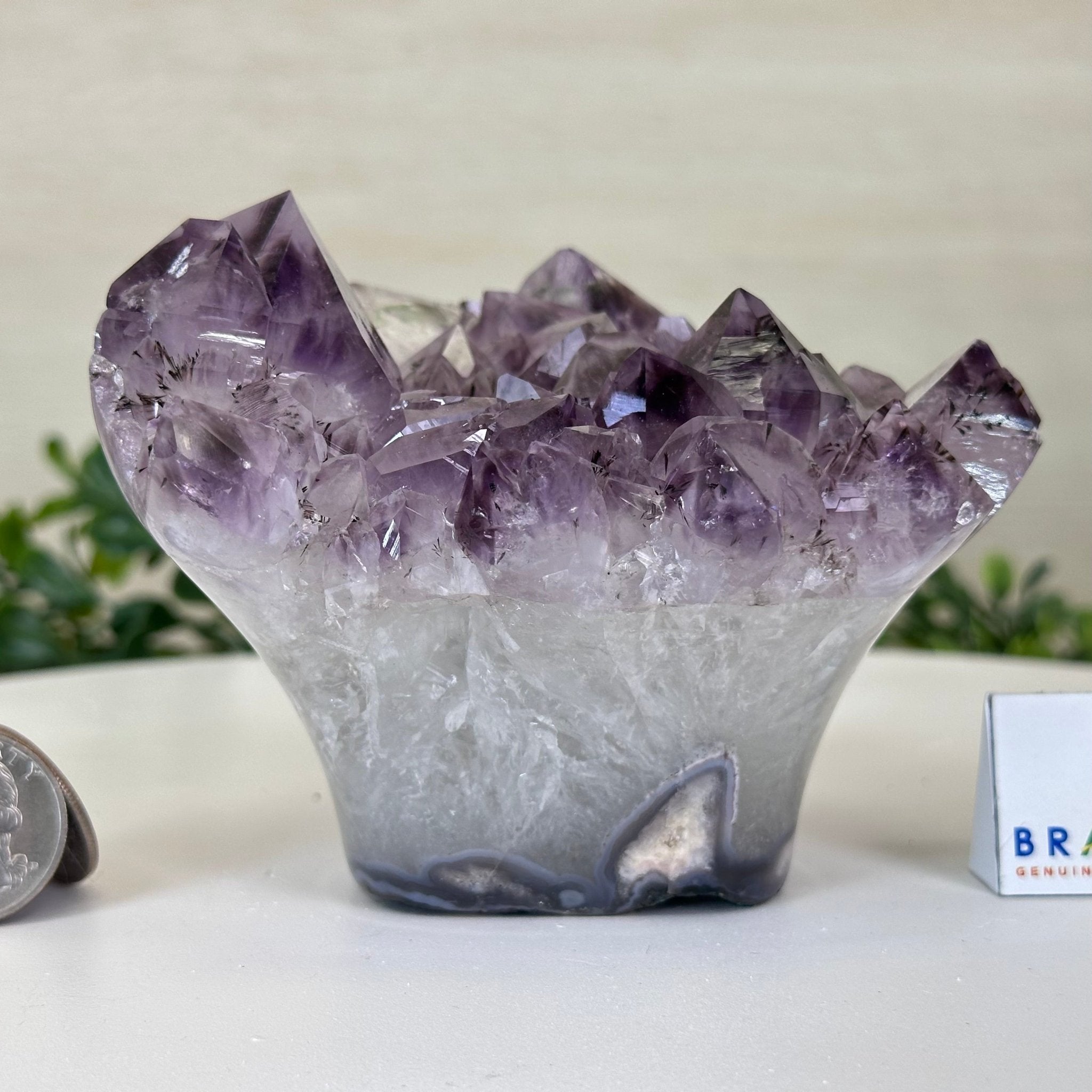 Polished Amethyst Flower 1.83 lbs & 3.6" Tall 5609 - 0035 - Brazil GemsBrazil GemsPolished Amethyst Flower 1.83 lbs & 3.6" Tall 5609 - 0035Crystal Flowers5609 - 0035