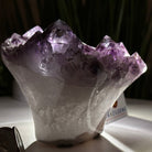 Polished Amethyst Flower 1.83 lbs & 3.6" Tall 5609 - 0035 - Brazil GemsBrazil GemsPolished Amethyst Flower 1.83 lbs & 3.6" Tall 5609 - 0035Crystal Flowers5609 - 0035