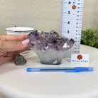 Polished Amethyst Flower 1.83 lbs & 3.6" Tall 5609 - 0035 - Brazil GemsBrazil GemsPolished Amethyst Flower 1.83 lbs & 3.6" Tall 5609 - 0035Crystal Flowers5609 - 0035