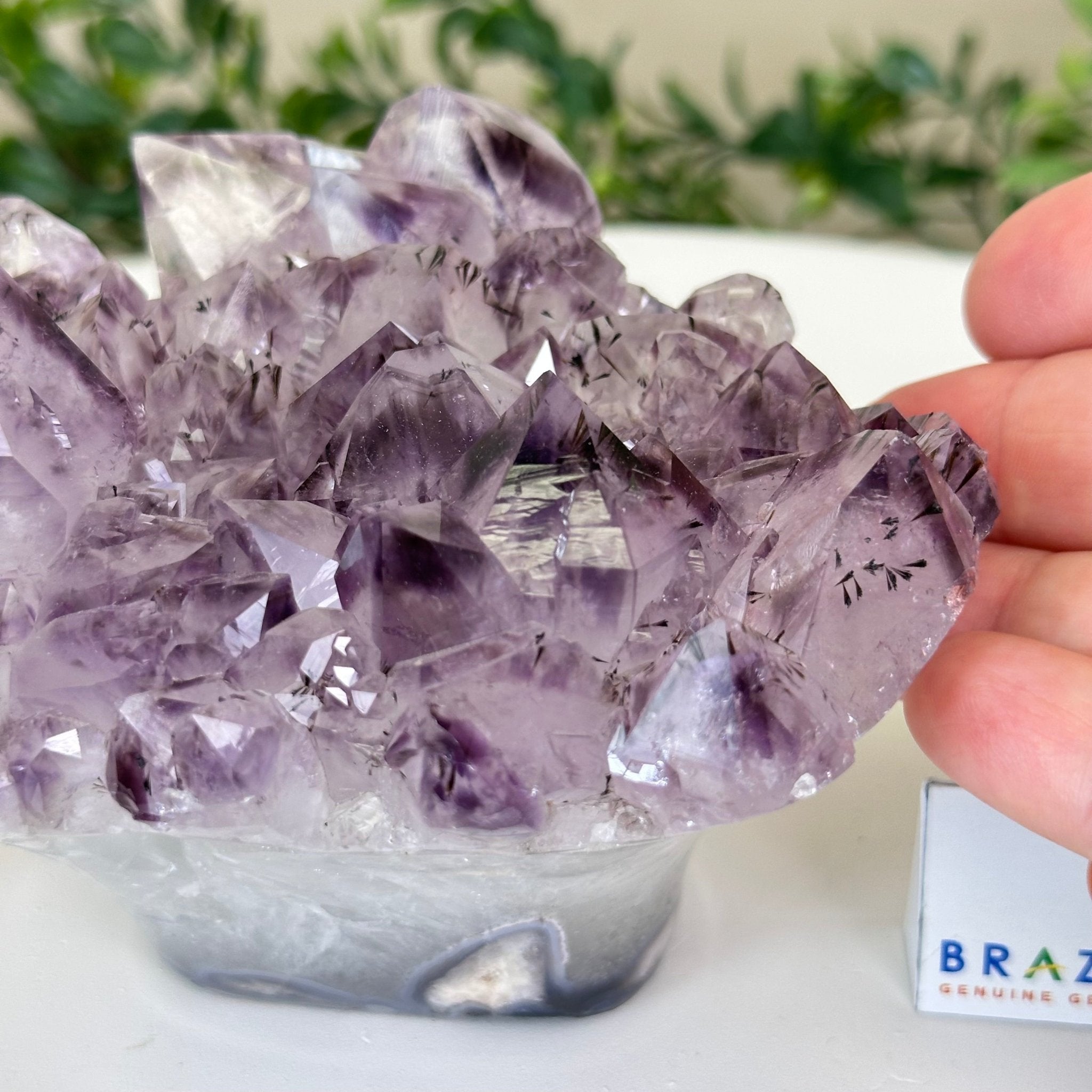 Polished Amethyst Flower 1.83 lbs & 3.6" Tall 5609 - 0035 - Brazil GemsBrazil GemsPolished Amethyst Flower 1.83 lbs & 3.6" Tall 5609 - 0035Crystal Flowers5609 - 0035
