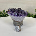 Polished Amethyst Flower 2.06 lbs & 3.5" Tall 5609 - 0037 - Brazil GemsBrazil GemsPolished Amethyst Flower 2.06 lbs & 3.5" Tall 5609 - 0037Crystal Flowers5609 - 0037
