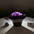 Polished Amethyst Flower 2.06 lbs & 3.5" Tall 5609 - 0037 - Brazil GemsBrazil GemsPolished Amethyst Flower 2.06 lbs & 3.5" Tall 5609 - 0037Crystal Flowers5609 - 0037