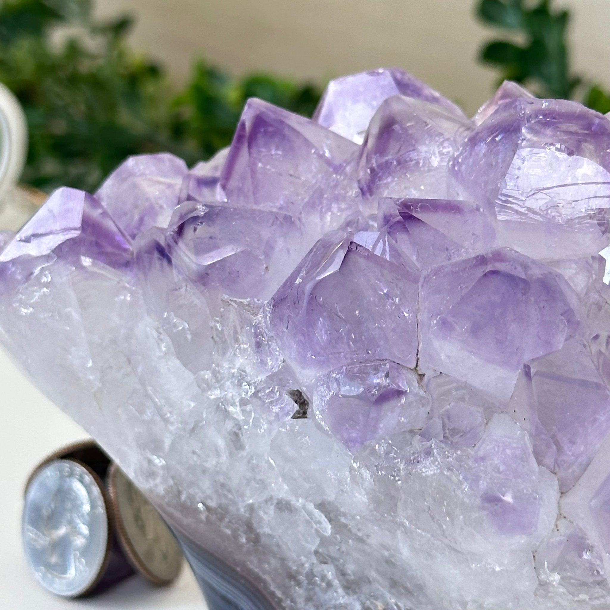Polished Amethyst Flower 2.06 lbs & 3.9" Tall 5609 - 0036 - Brazil GemsBrazil GemsPolished Amethyst Flower 2.06 lbs & 3.9" Tall 5609 - 0036Crystal Flowers5609 - 0036