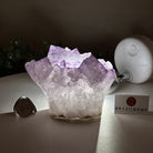 Polished Amethyst Flower 2.11 lbs & 3.4" Tall 5609 - 0038 - Brazil GemsBrazil GemsPolished Amethyst Flower 2.11 lbs & 3.4" Tall 5609 - 0038Crystal Flowers5609 - 0038