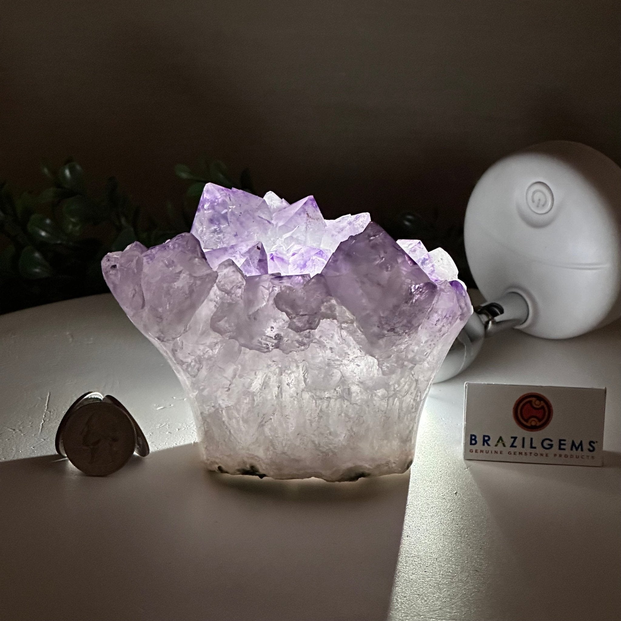 Polished Amethyst Flower 2.11 lbs & 3.4" Tall 5609 - 0038 - Brazil GemsBrazil GemsPolished Amethyst Flower 2.11 lbs & 3.4" Tall 5609 - 0038Crystal Flowers5609 - 0038