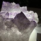 Polished Amethyst Flower 2.11 lbs & 3.4" Tall 5609 - 0038 - Brazil GemsBrazil GemsPolished Amethyst Flower 2.11 lbs & 3.4" Tall 5609 - 0038Crystal Flowers5609 - 0038