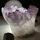 Polished Amethyst Flower 2.11 lbs & 3.4" Tall 5609 - 0038 - Brazil GemsBrazil GemsPolished Amethyst Flower 2.11 lbs & 3.4" Tall 5609 - 0038Crystal Flowers5609 - 0038
