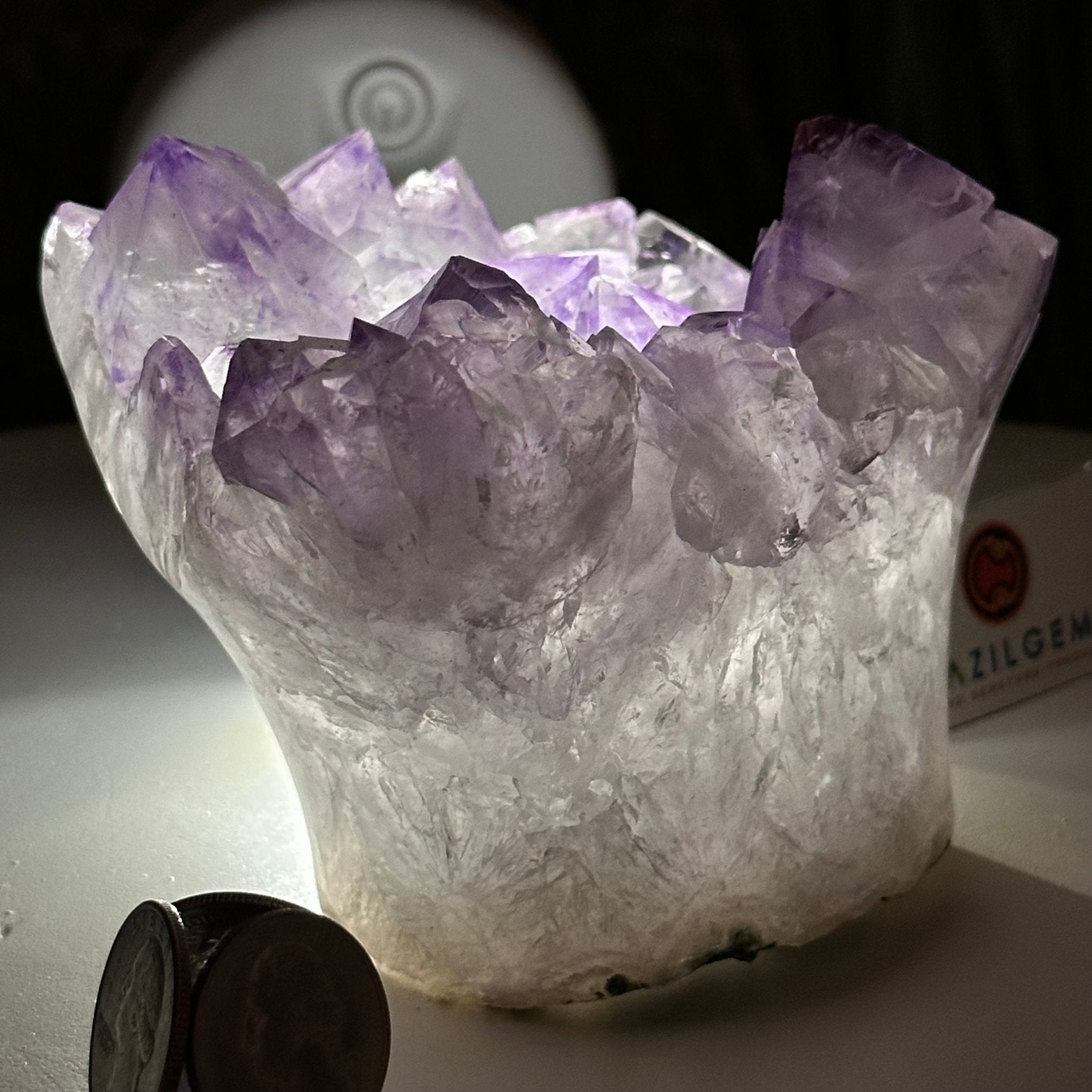 Polished Amethyst Flower 2.11 lbs & 3.4" Tall 5609 - 0038 - Brazil GemsBrazil GemsPolished Amethyst Flower 2.11 lbs & 3.4" Tall 5609 - 0038Crystal Flowers5609 - 0038