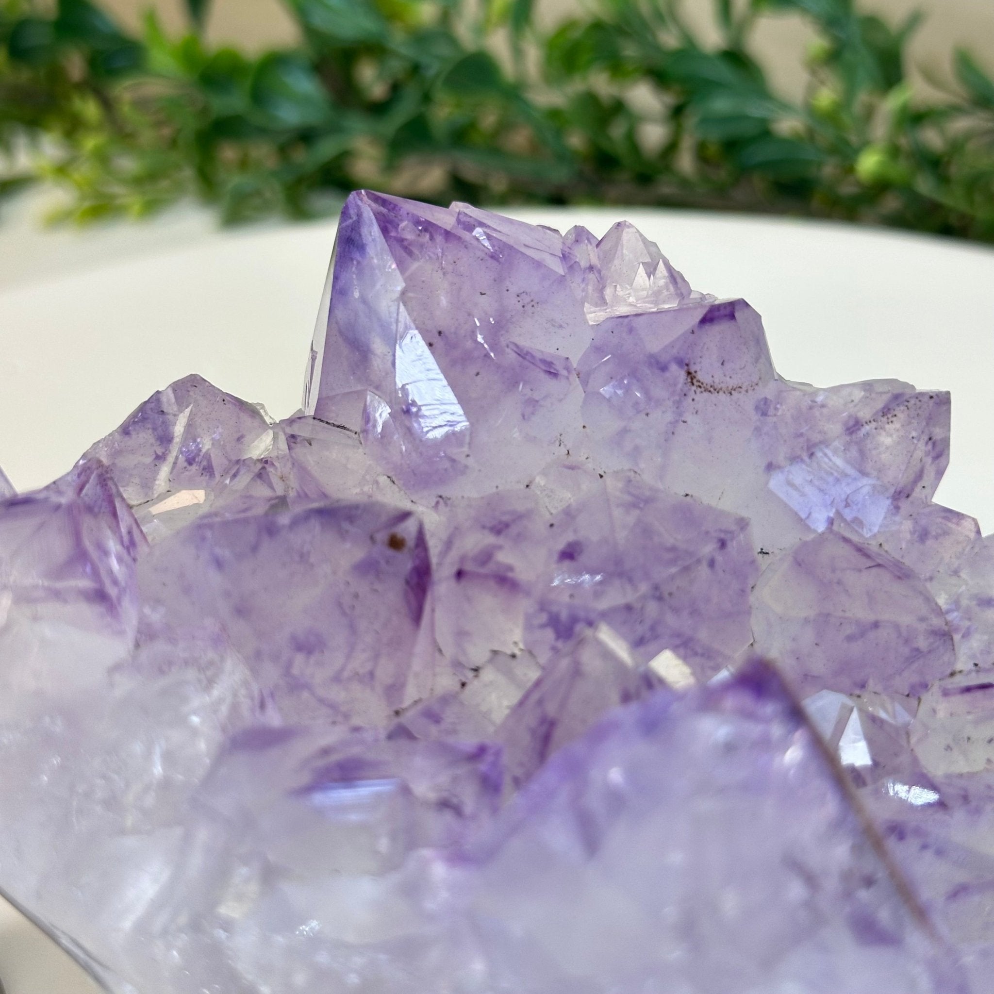 Polished Amethyst Flower 2.11 lbs & 3.4" Tall 5609 - 0038 - Brazil GemsBrazil GemsPolished Amethyst Flower 2.11 lbs & 3.4" Tall 5609 - 0038Crystal Flowers5609 - 0038