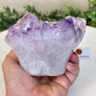Polished Amethyst Flower 2.11 lbs & 3.4" Tall 5609 - 0038 - Brazil GemsBrazil GemsPolished Amethyst Flower 2.11 lbs & 3.4" Tall 5609 - 0038Crystal Flowers5609 - 0038
