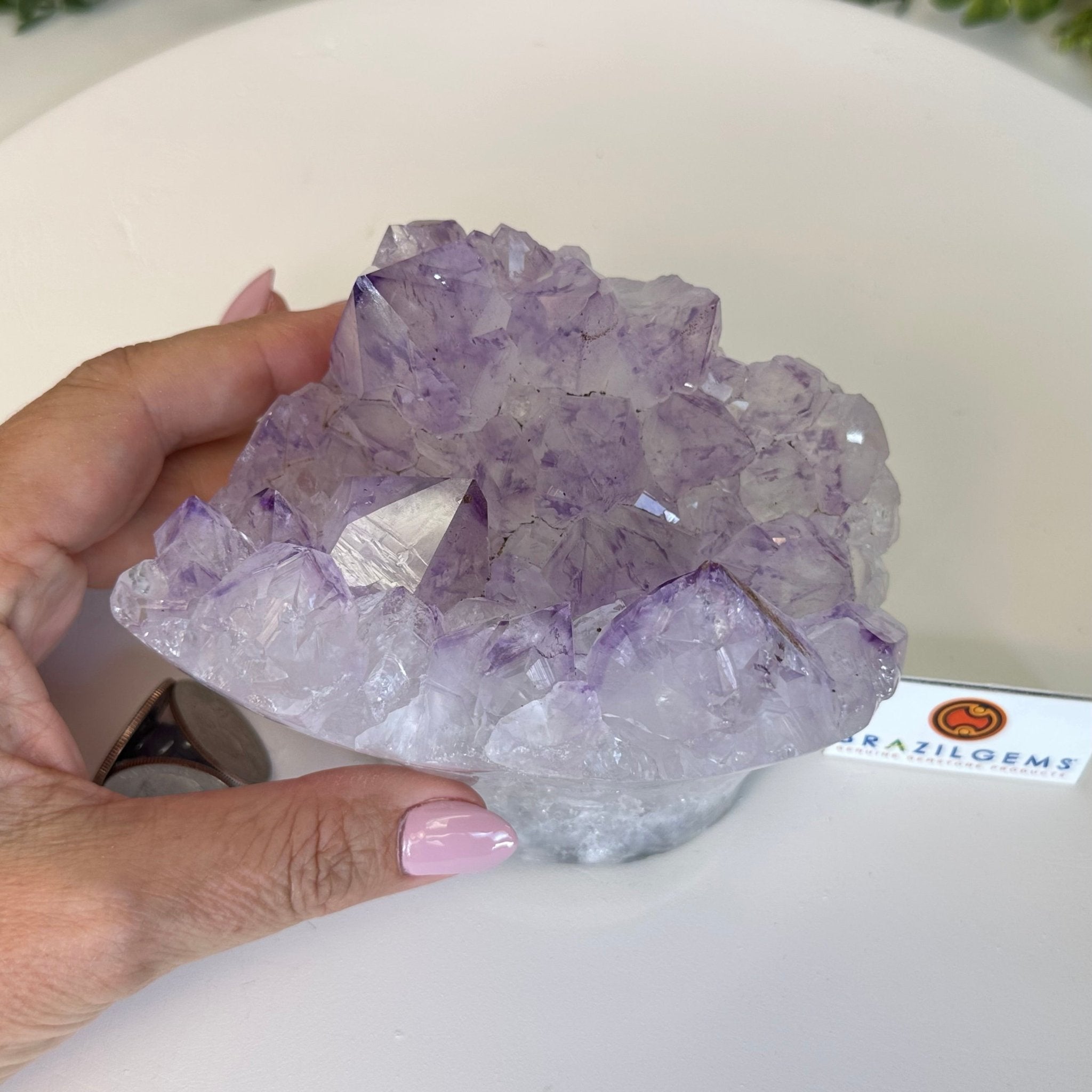 Extra Quality Amethyst Polished Flower by Brazil Gems #5609-0038