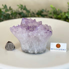 Polished Amethyst Flower 2.11 lbs & 3.4" Tall 5609 - 0038 - Brazil GemsBrazil GemsPolished Amethyst Flower 2.11 lbs & 3.4" Tall 5609 - 0038Crystal Flowers5609 - 0038