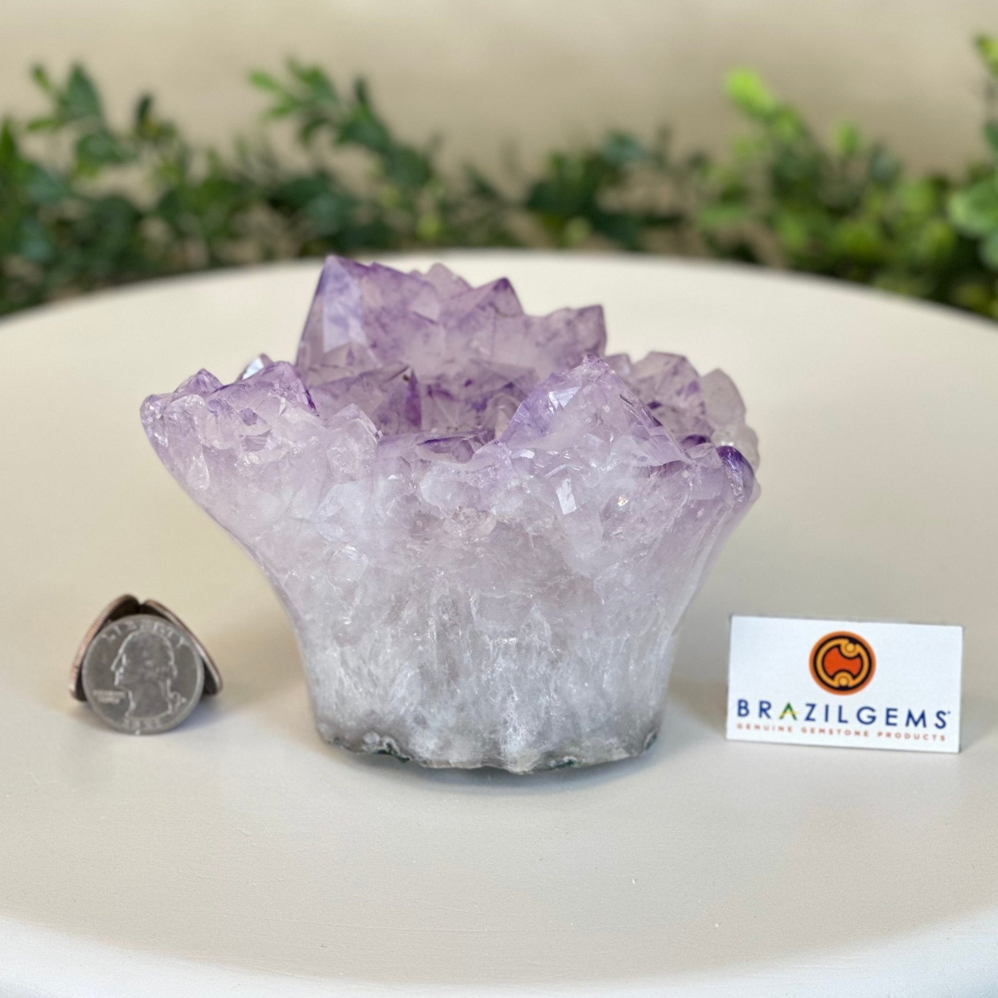 Polished Amethyst Flower 2.11 lbs & 3.4" Tall 5609 - 0038 - Brazil GemsBrazil GemsPolished Amethyst Flower 2.11 lbs & 3.4" Tall 5609 - 0038Crystal Flowers5609 - 0038