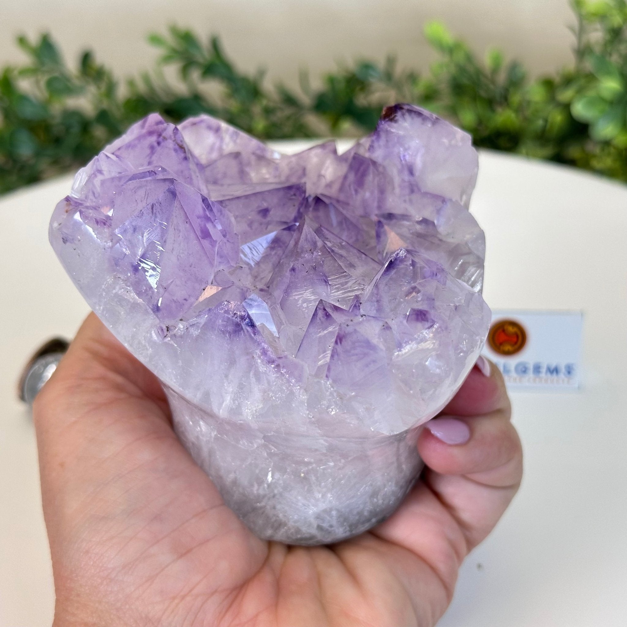 Polished Amethyst Flower 2.11 lbs & 3.4" Tall 5609 - 0038 - Brazil GemsBrazil GemsPolished Amethyst Flower 2.11 lbs & 3.4" Tall 5609 - 0038Crystal Flowers5609 - 0038