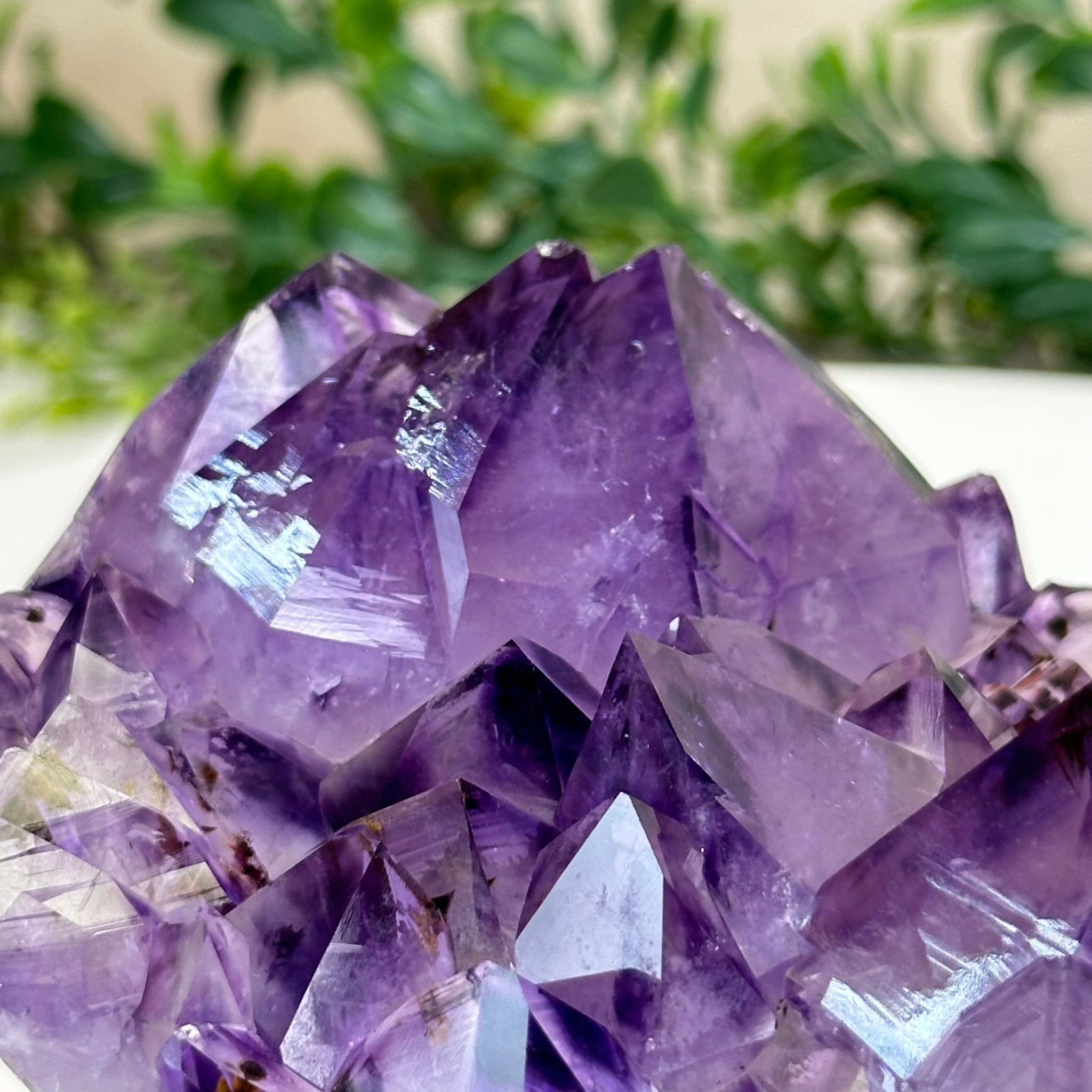 Polished Amethyst Flower 2.22 lbs & 3.6" Tall 5609 - 0039 - Brazil GemsBrazil GemsPolished Amethyst Flower 2.22 lbs & 3.6" Tall 5609 - 0039Crystal Flowers5609 - 0039