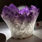 Polished Amethyst Flower 2.22 lbs & 3.6" Tall 5609 - 0039 - Brazil GemsBrazil GemsPolished Amethyst Flower 2.22 lbs & 3.6" Tall 5609 - 0039Crystal Flowers5609 - 0039