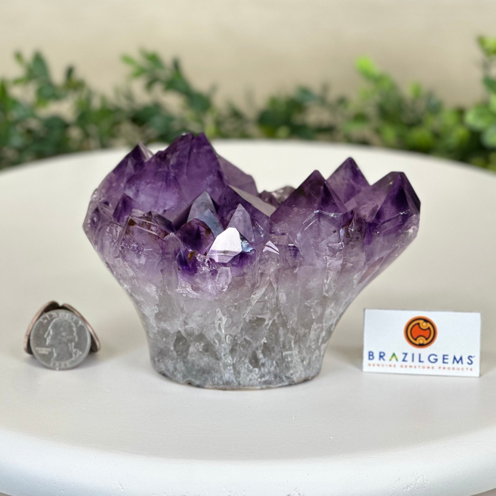 Polished Amethyst Flower 2.22 lbs & 3.6" Tall 5609 - 0039 - Brazil GemsBrazil GemsPolished Amethyst Flower 2.22 lbs & 3.6" Tall 5609 - 0039Crystal Flowers5609 - 0039