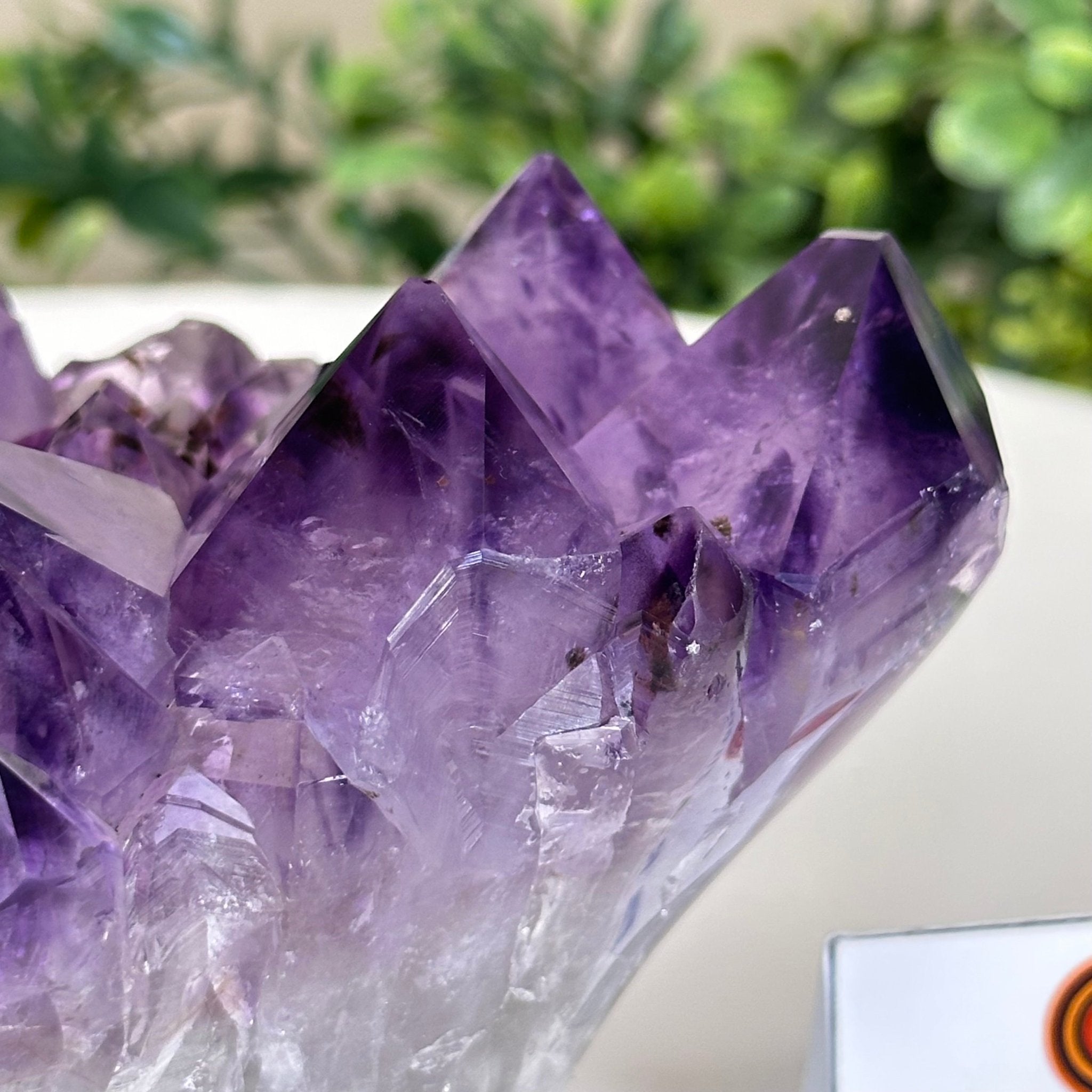 Polished Amethyst Flower 2.22 lbs & 3.6" Tall 5609 - 0039 - Brazil GemsBrazil GemsPolished Amethyst Flower 2.22 lbs & 3.6" Tall 5609 - 0039Crystal Flowers5609 - 0039
