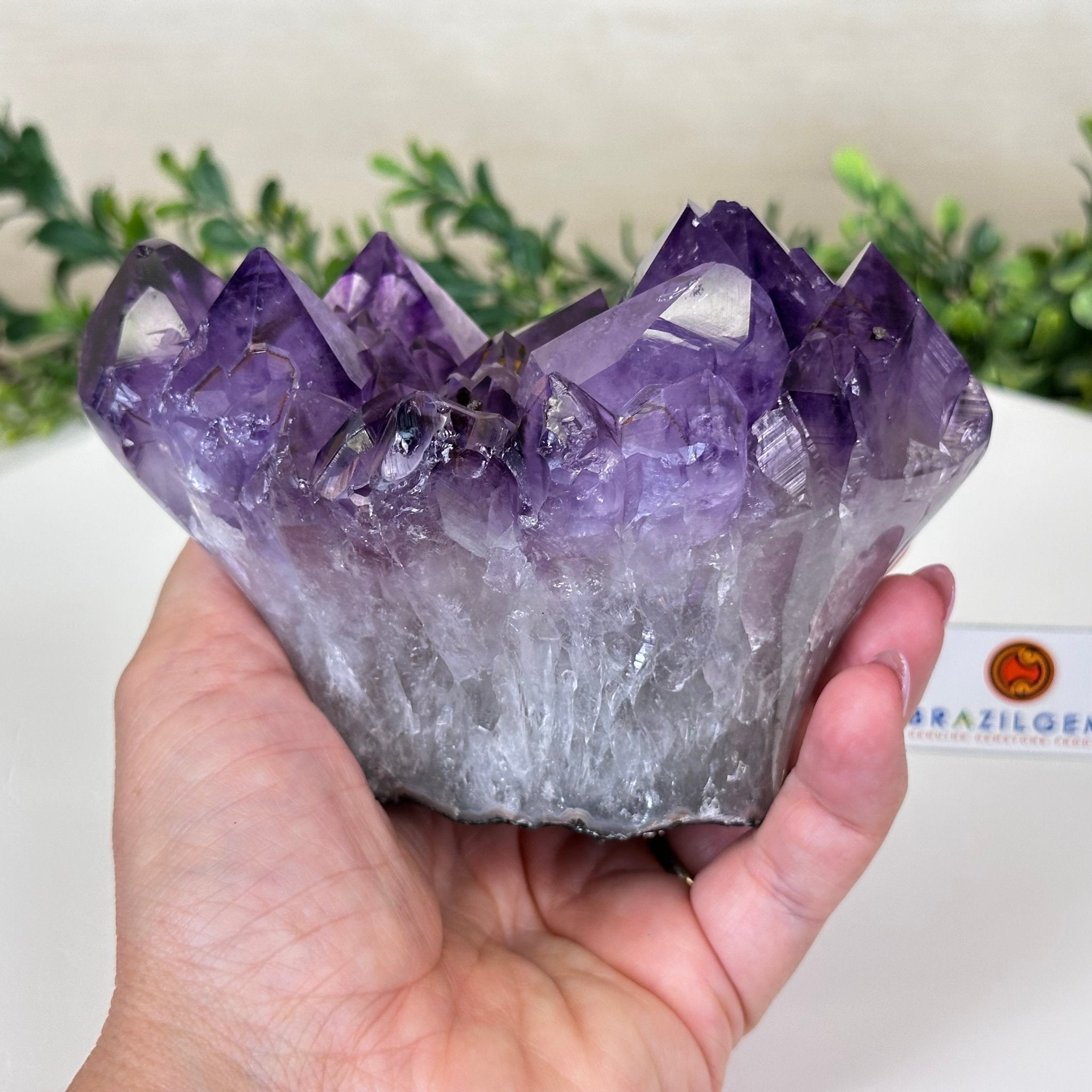 Polished Amethyst Flower 2.22 lbs & 3.6" Tall 5609 - 0039 - Brazil GemsBrazil GemsPolished Amethyst Flower 2.22 lbs & 3.6" Tall 5609 - 0039Crystal Flowers5609 - 0039