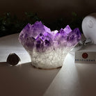 Polished Amethyst Flower 2.22 lbs & 3.6" Tall 5609 - 0039 - Brazil GemsBrazil GemsPolished Amethyst Flower 2.22 lbs & 3.6" Tall 5609 - 0039Crystal Flowers5609 - 0039