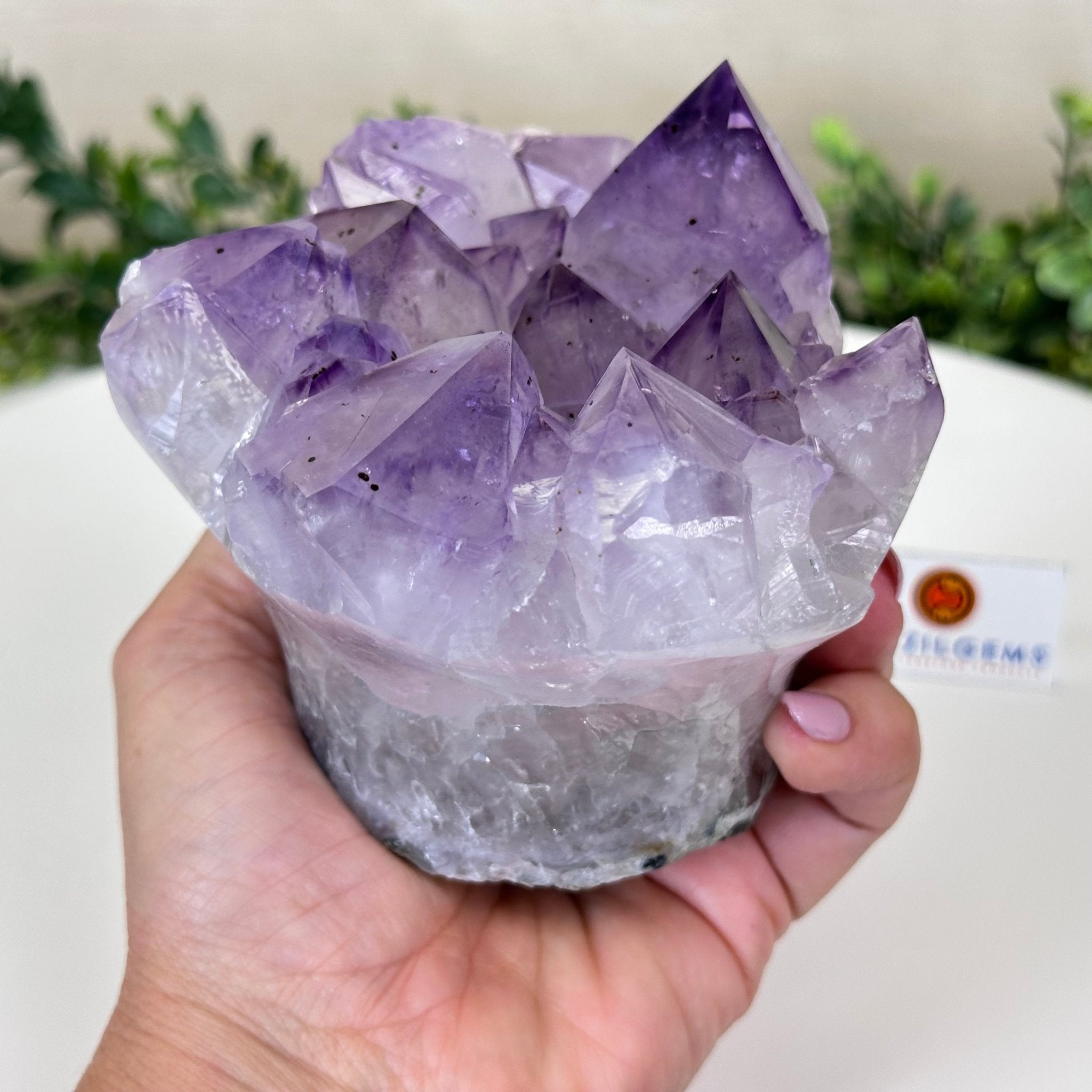 Polished Amethyst Flower 2.61 lbs & 3.6" Tall 5609 - 0041 - Brazil GemsBrazil GemsPolished Amethyst Flower 2.61 lbs & 3.6" Tall 5609 - 0041Crystal Flowers5609 - 0041