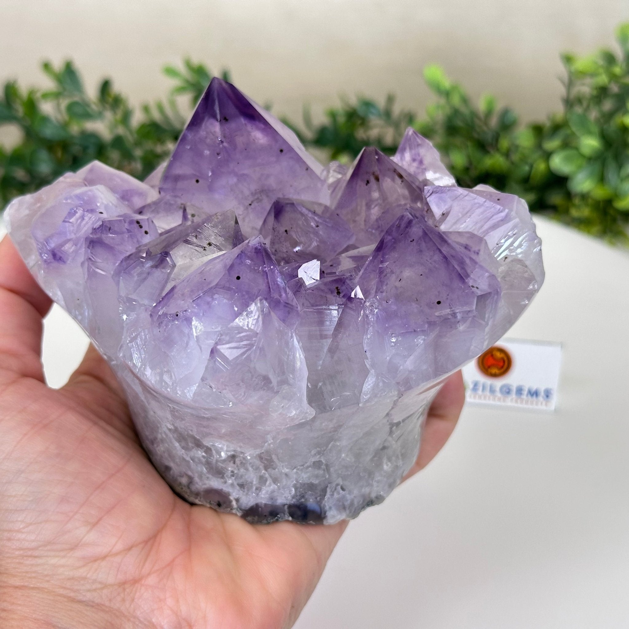 Polished Amethyst Flower 2.61 lbs & 3.6" Tall 5609 - 0041 - Brazil GemsBrazil GemsPolished Amethyst Flower 2.61 lbs & 3.6" Tall 5609 - 0041Crystal Flowers5609 - 0041